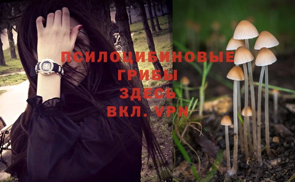 тгк Богородск