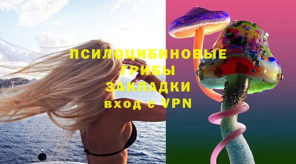 тгк Богородск