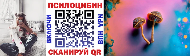 Галлюциногенные грибы GOLDEN TEACHER  купить закладку  Гаврилов-Ям 