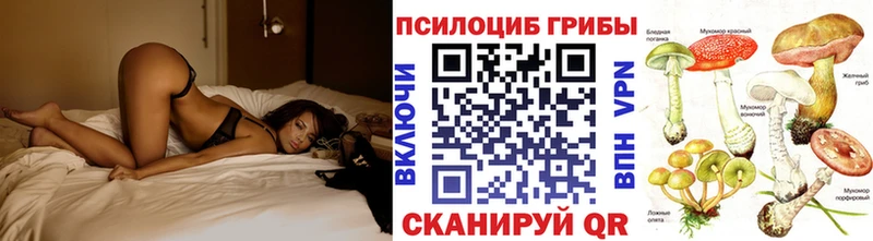 Псилоцибиновые грибы Psilocybe Гаврилов-Ям